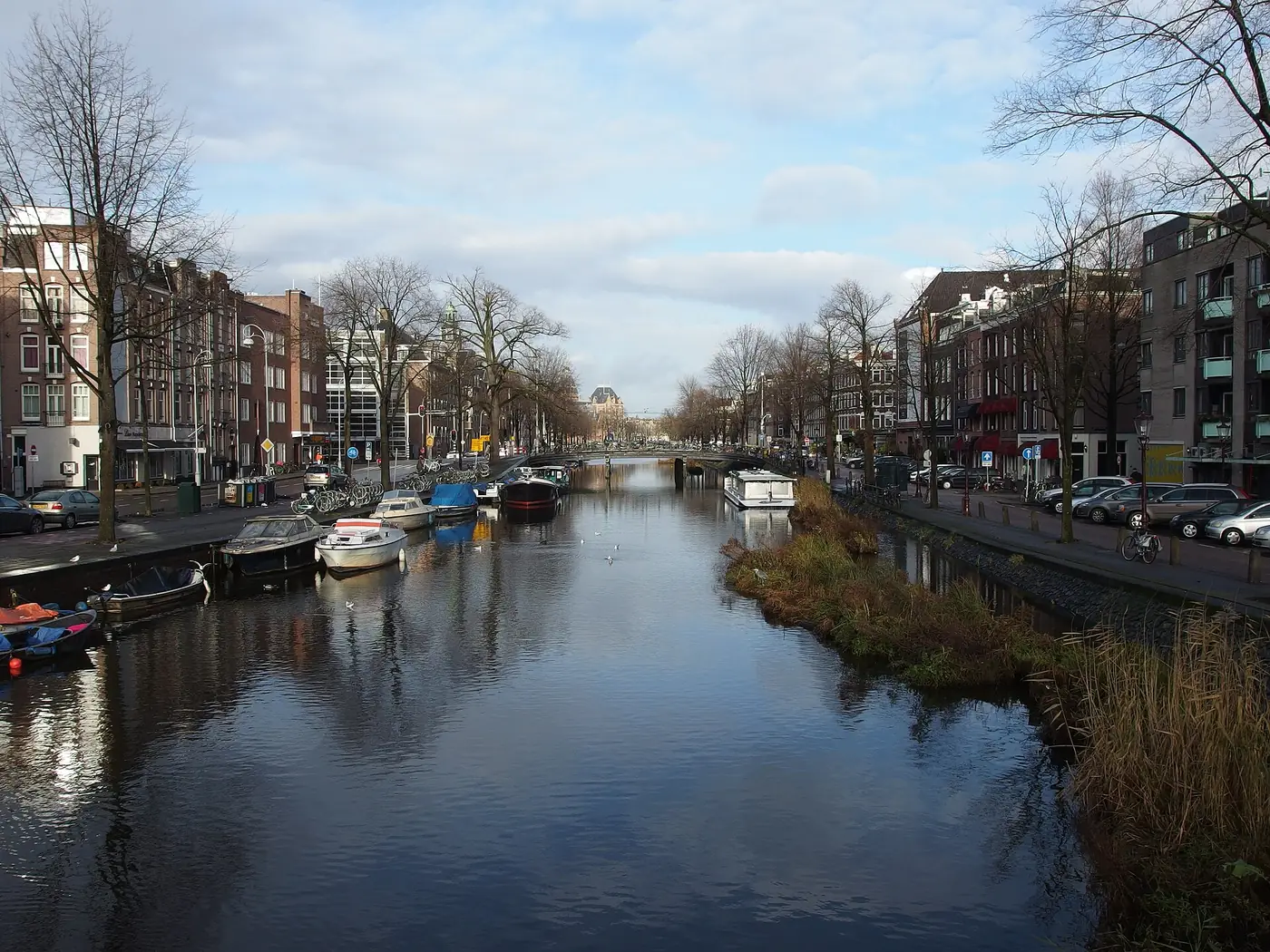 Canal houses beside a tree-lined waterway in Amsterdam, the Netherlands